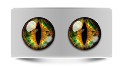 Звериные_02336