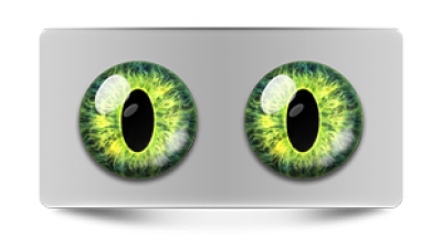 Звериные_02337