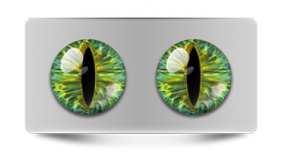 Звериные_02342