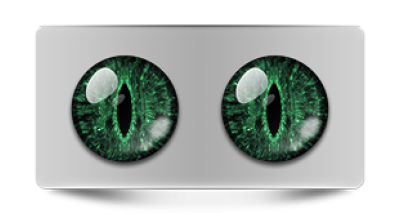 Звериные_02344