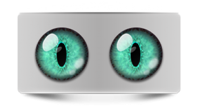 Звериные_02346