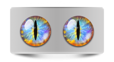 Звериные_02347