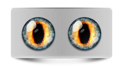 Звериные_02349