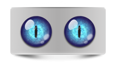 Звериные_02353