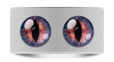 Звериные_02364