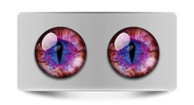 Звериные_02368