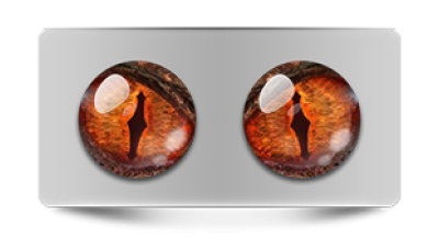 Звериные_02371