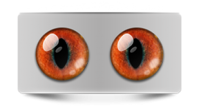 Звериные_02385