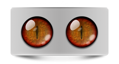 Звериные_02386