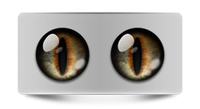 Звериные_02389