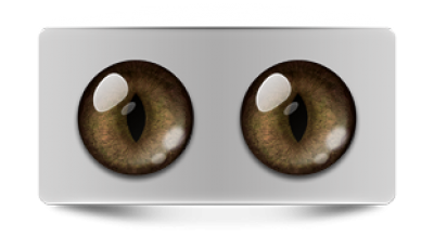 Звериные_02390