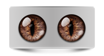 Звериные_02393