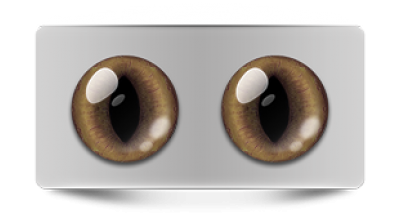 Звериные_02394