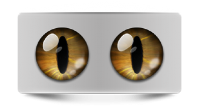 Звериные_02396