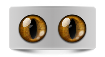 Звериные_02397