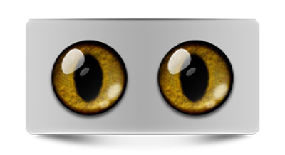 Звериные_02398