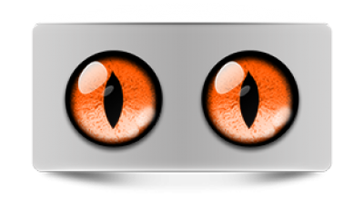 Звериные_02400