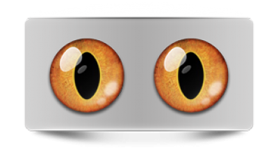 Звериные_02403