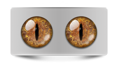 Звериные_02407