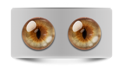 Звериные_02408