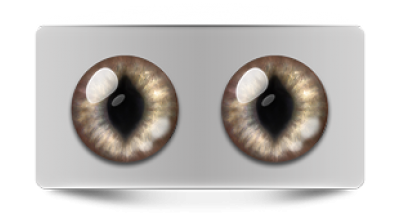 Звериные_02409