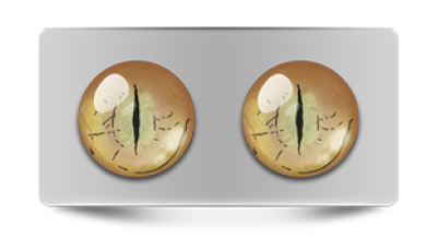 Звериные_02411