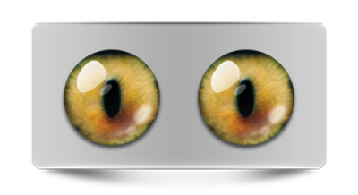 Звериные_02413