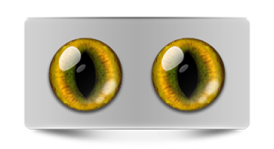 Звериные_02414