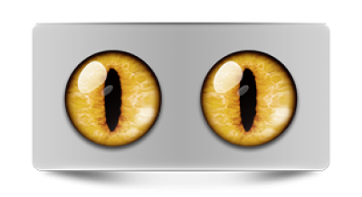 Звериные_02416