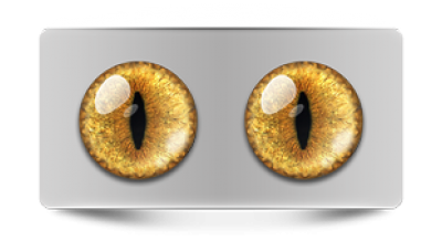 Звериные_02418