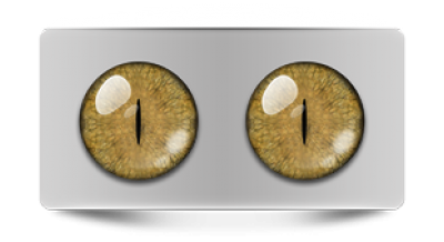 Звериные_02420