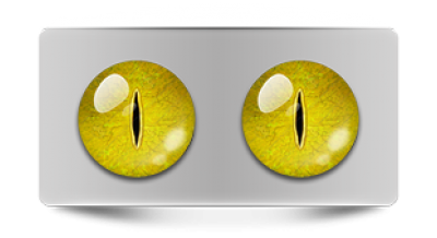 Звериные_02421