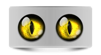 Звериные_02422