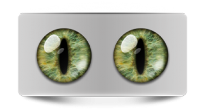 Звериные_02429