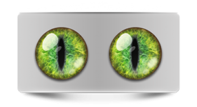 Звериные_02430