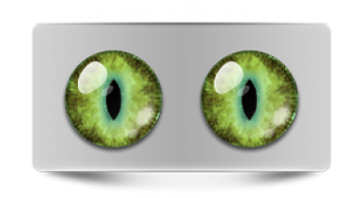 Звериные_02431