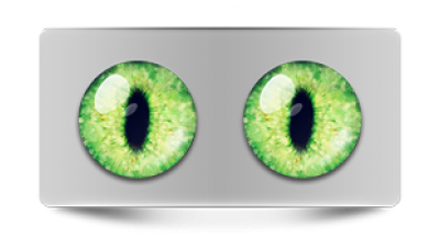 Звериные_02433