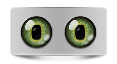 Звериные_02436