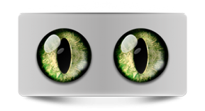 Звериные_02437