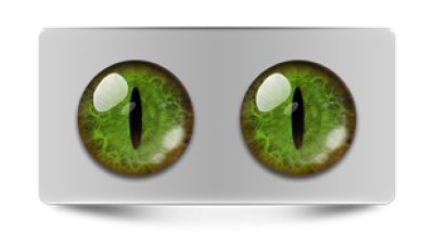 Звериные_02438