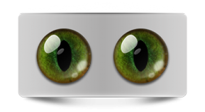 Звериные_02439