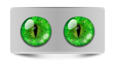 Звериные_02441