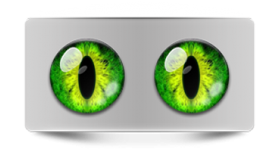 Звериные_02443