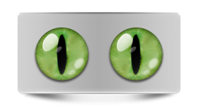 Звериные_02444