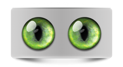 Звериные_02445