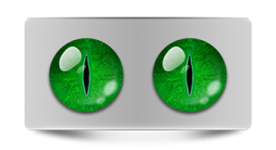 Звериные_02447