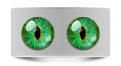 Звериные_02448