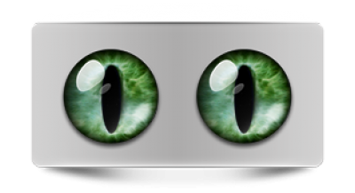 Звериные_02451