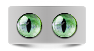 Звериные_02452