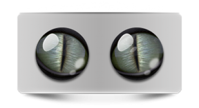 Звериные_02458